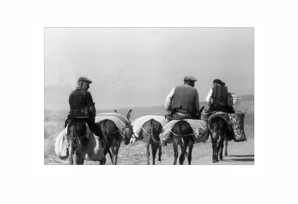 Türk24web.jpg